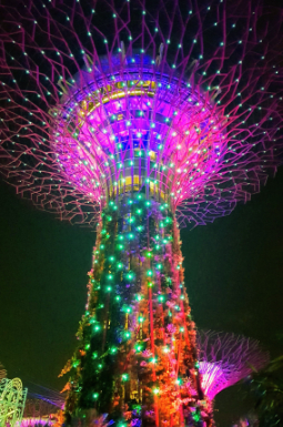 Singapore Sky tree