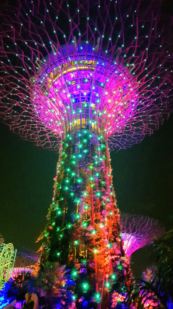 Singapore Sky tree